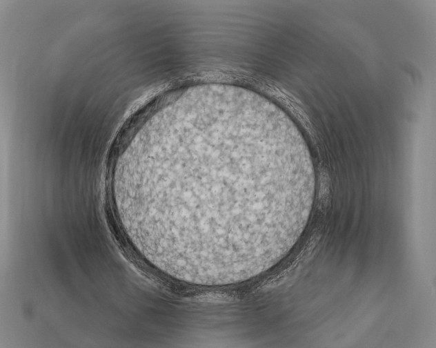 X0000111910578200909071158