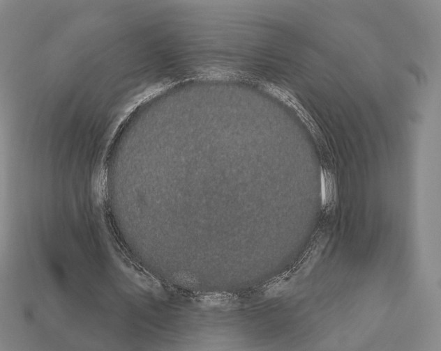 X0000111910579200909071158