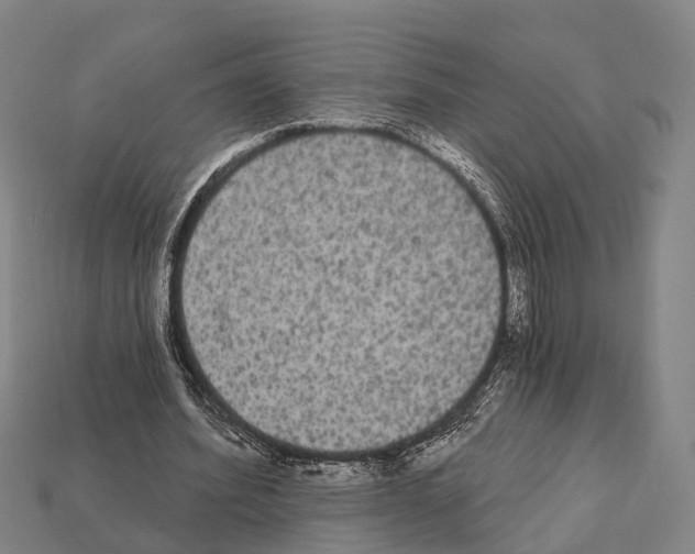 X0000111910580200909071158