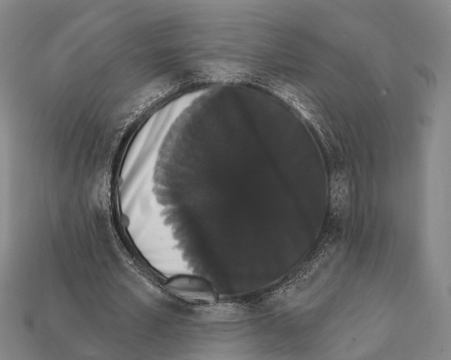 X0000111910581200909071158