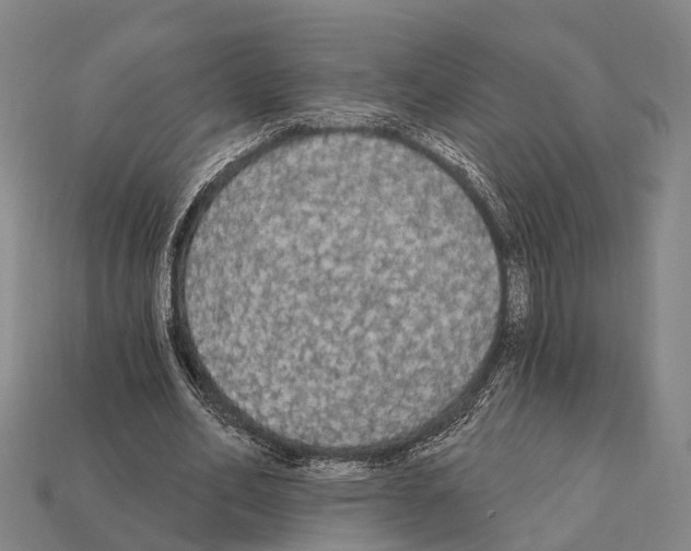 X0000111910582200909071158