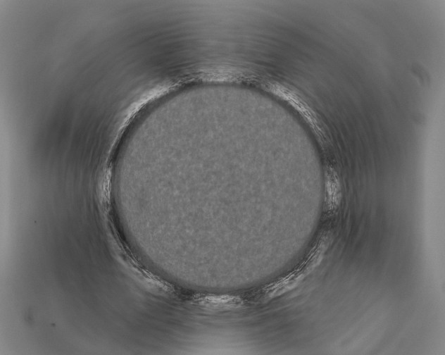 X0000111910583200909071158