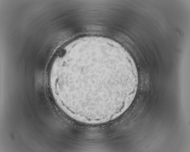 X0000111910584200909071158