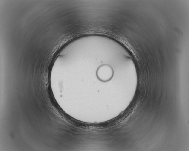 X0000111910585200909071158