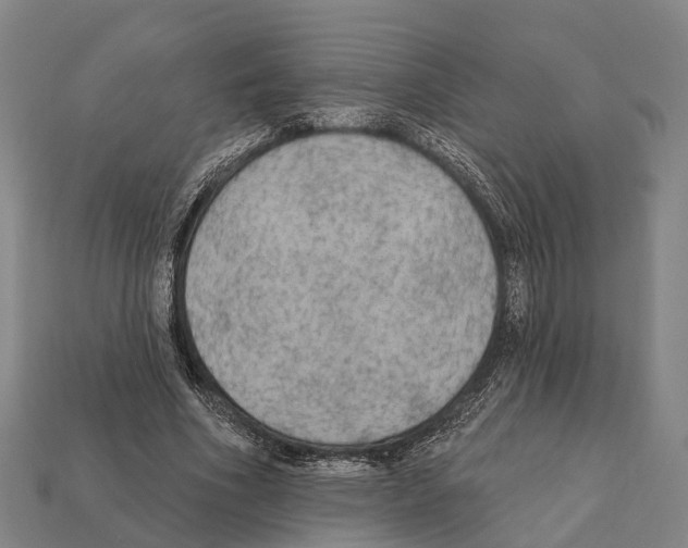 X0000111910586200909071158