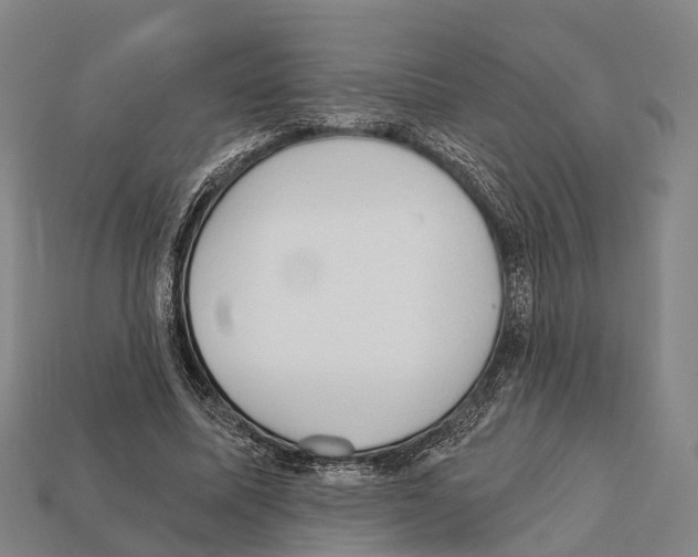 X0000111910587200909071158