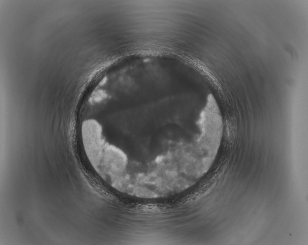 X0000111910588200909071158