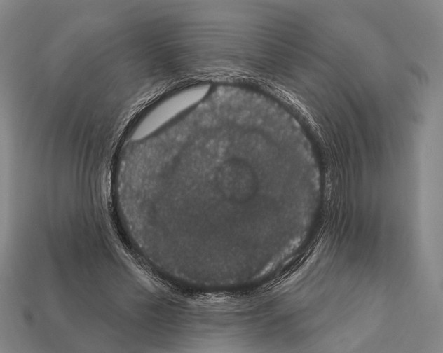 X0000111910589200909071158