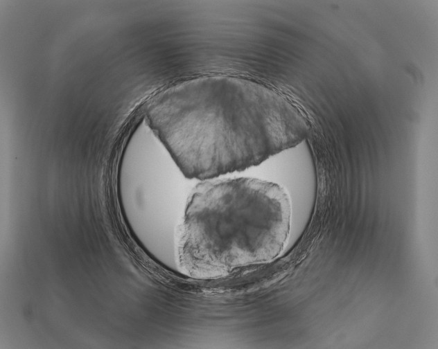 X0000111910591200909071158