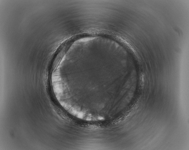 X0000111910592200909071158