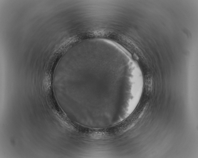 X0000111910593200909071158