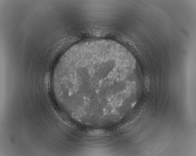 X0000111910594200909071158