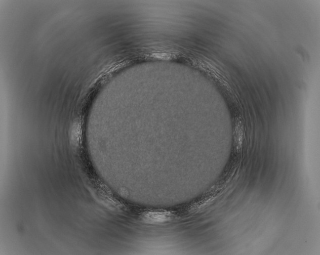 X0000111910595200909071158
