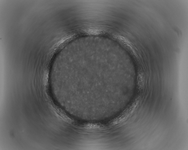 X0000111910596200909071158