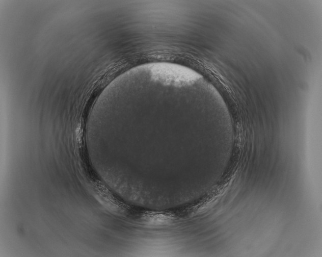 X0000111910597200909071158