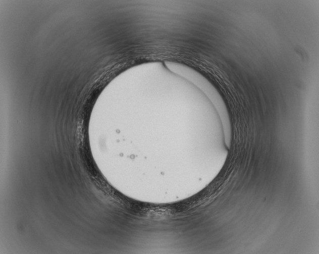X0000111910599200909071158
