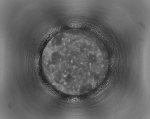 X0000111910600200909071158