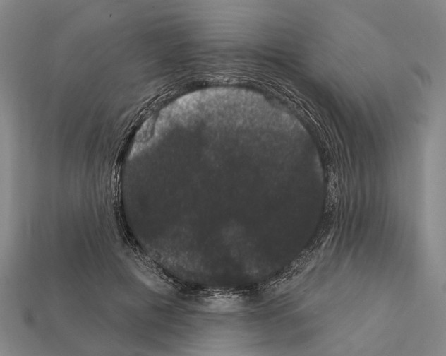 X0000111910601200909071158