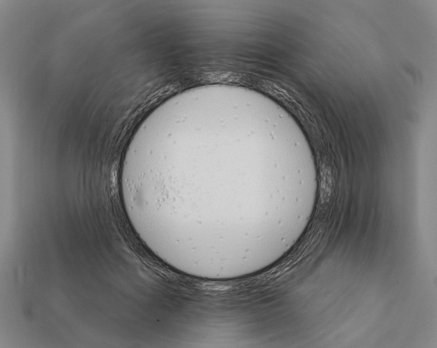 X0000111910602200909071158