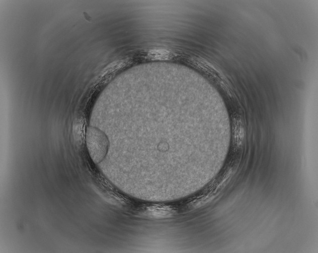X0000111910603200909071158