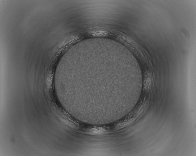 X0000111910604200909071158