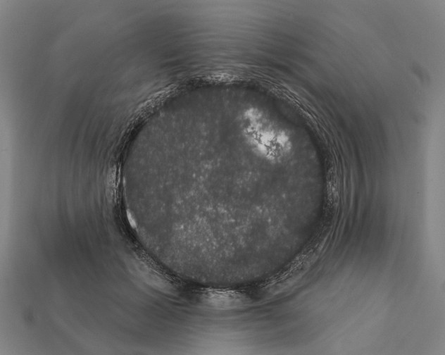 X0000111910605200909071158