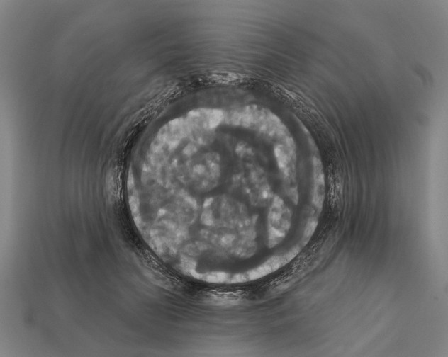 X0000111910606200909071158