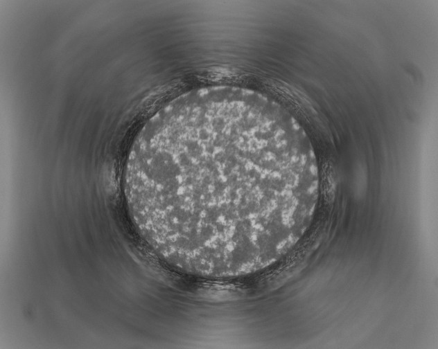 X0000111910607200909071158