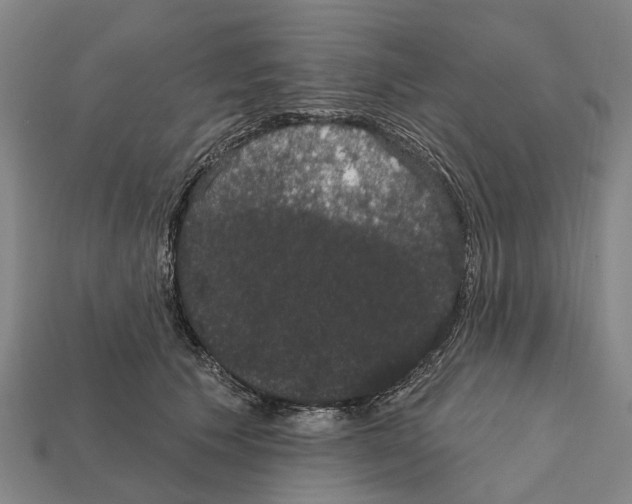 X0000111910609200909071158