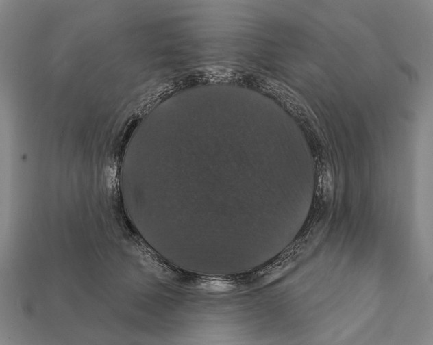 X0000111910610200909071158