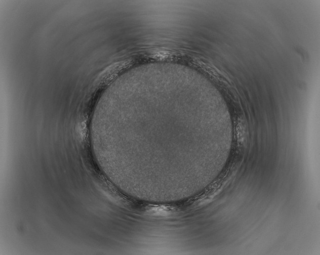 X0000111910611200909071158