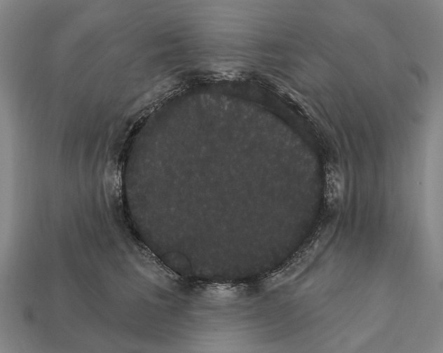 X0000111910613200909071158