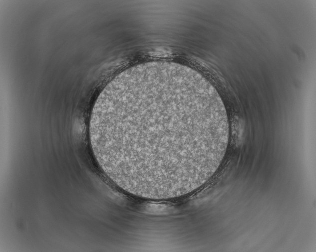 X0000111910614200909071158