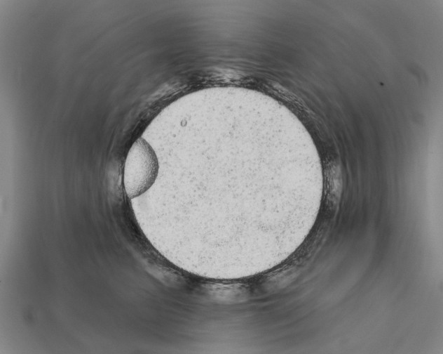 X0000111910615200909071158