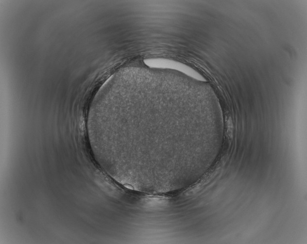 X0000111910617200909071158