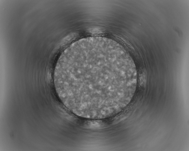X0000111910618200909071158