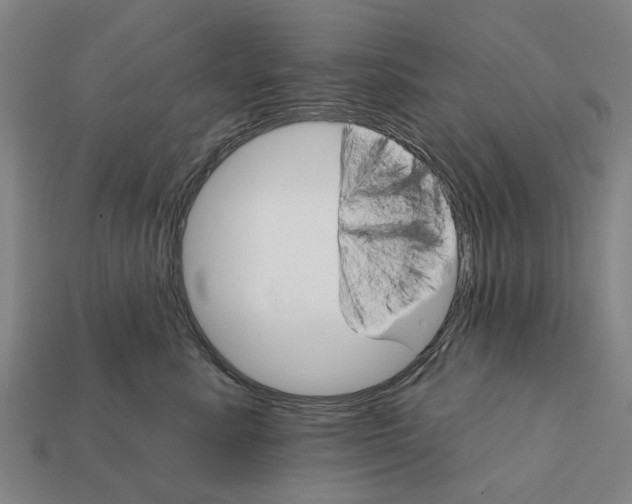 X0000111910619200909071158