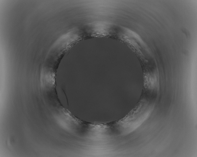 X0000111910621200909071158