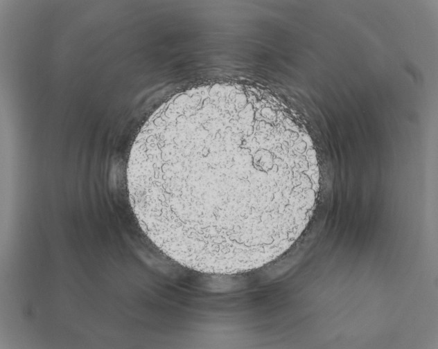 X0000111910623200909071158