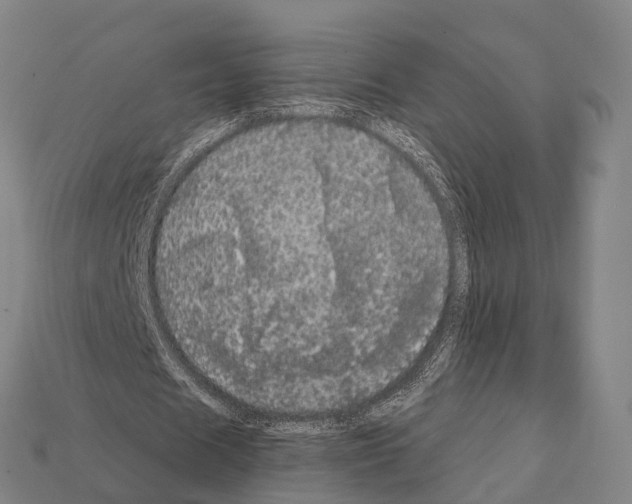 X0000111910625200909071157