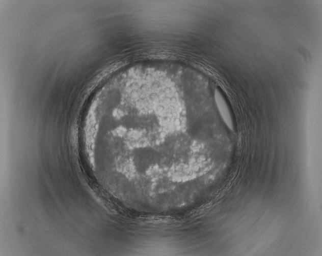 X0000111910626200909071157
