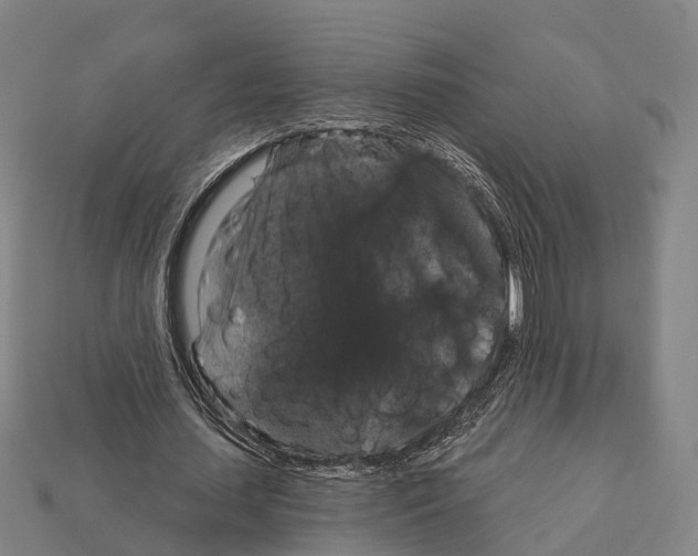 X0000111910627200909071157