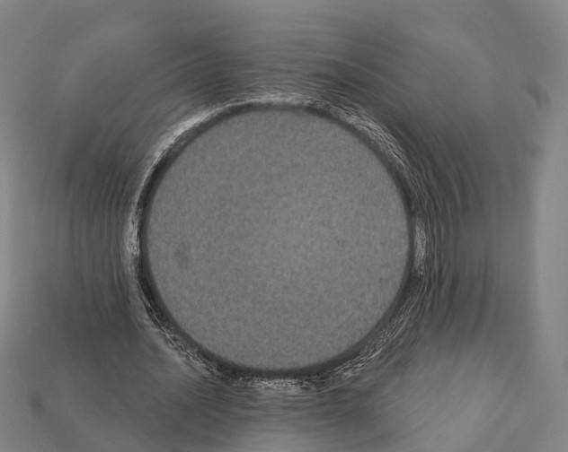 X0000111910628200909071157