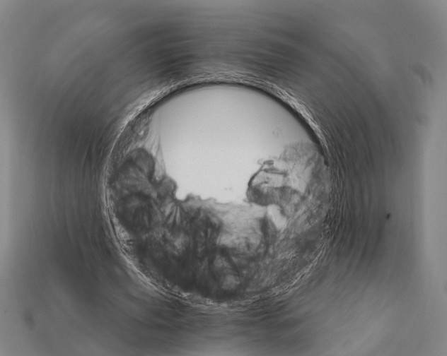 X0000111910629200909071157