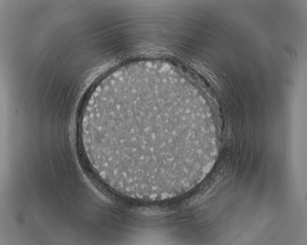 X0000111910630200909071157