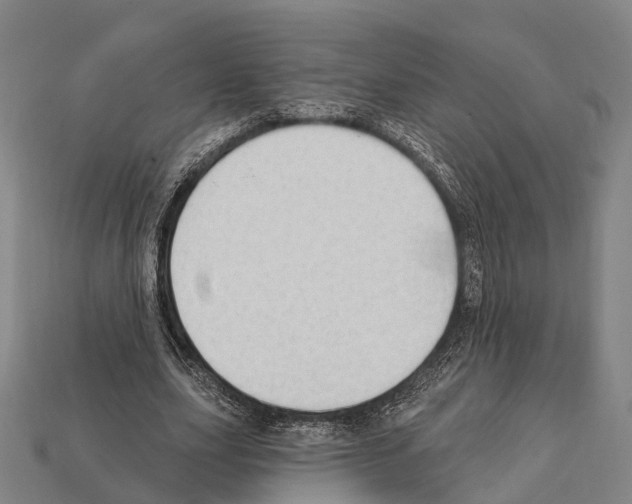 X0000111910631200909071157