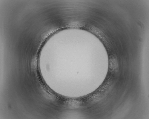 X0000111910632200909071157