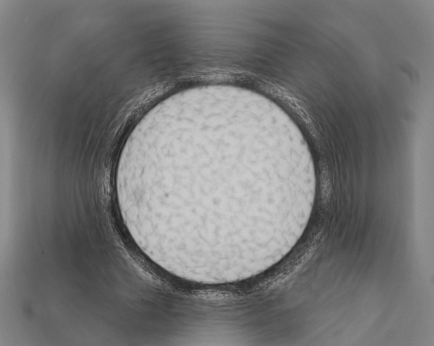 X0000111910633200909071157