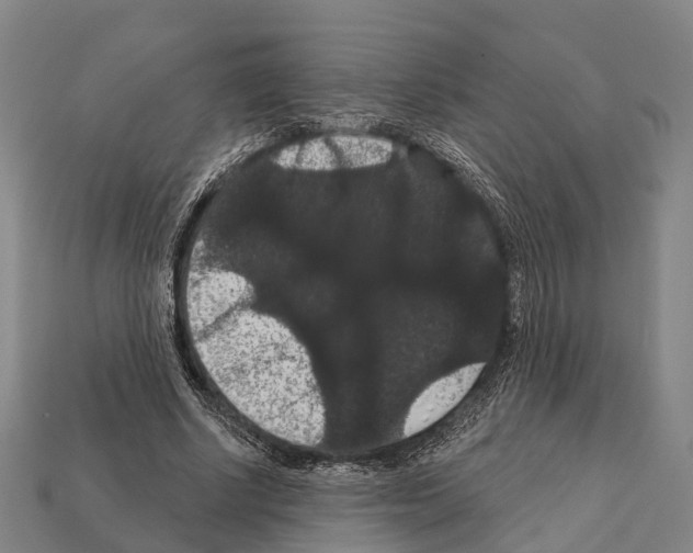 X0000111910634200909071157