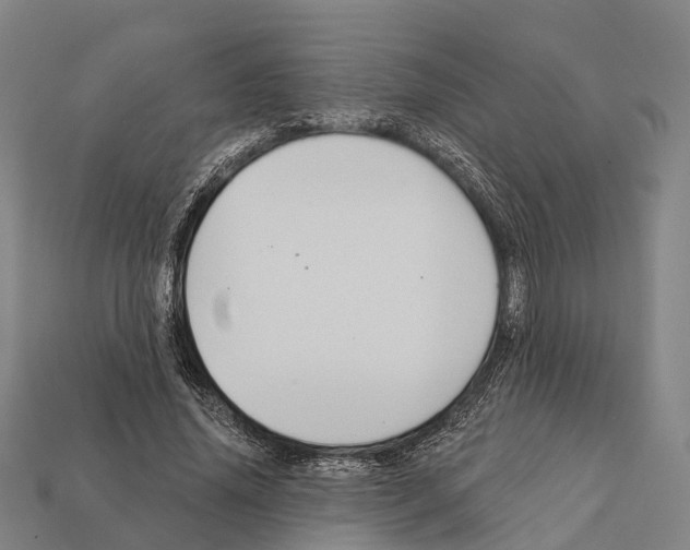 X0000111910636200909071157